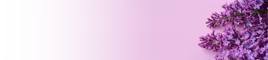 banner image